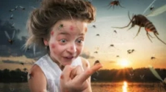 Перша допомога в укусі комахи